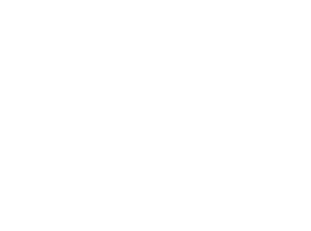 Saudi Olympic & Paralympic Committee