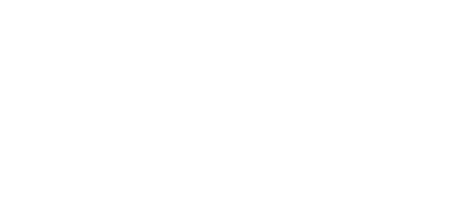 Team Falcons